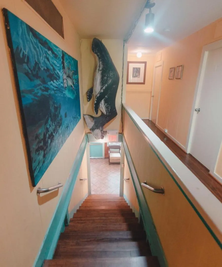 Banana Bungalow Maui Hostel Wailuku USA