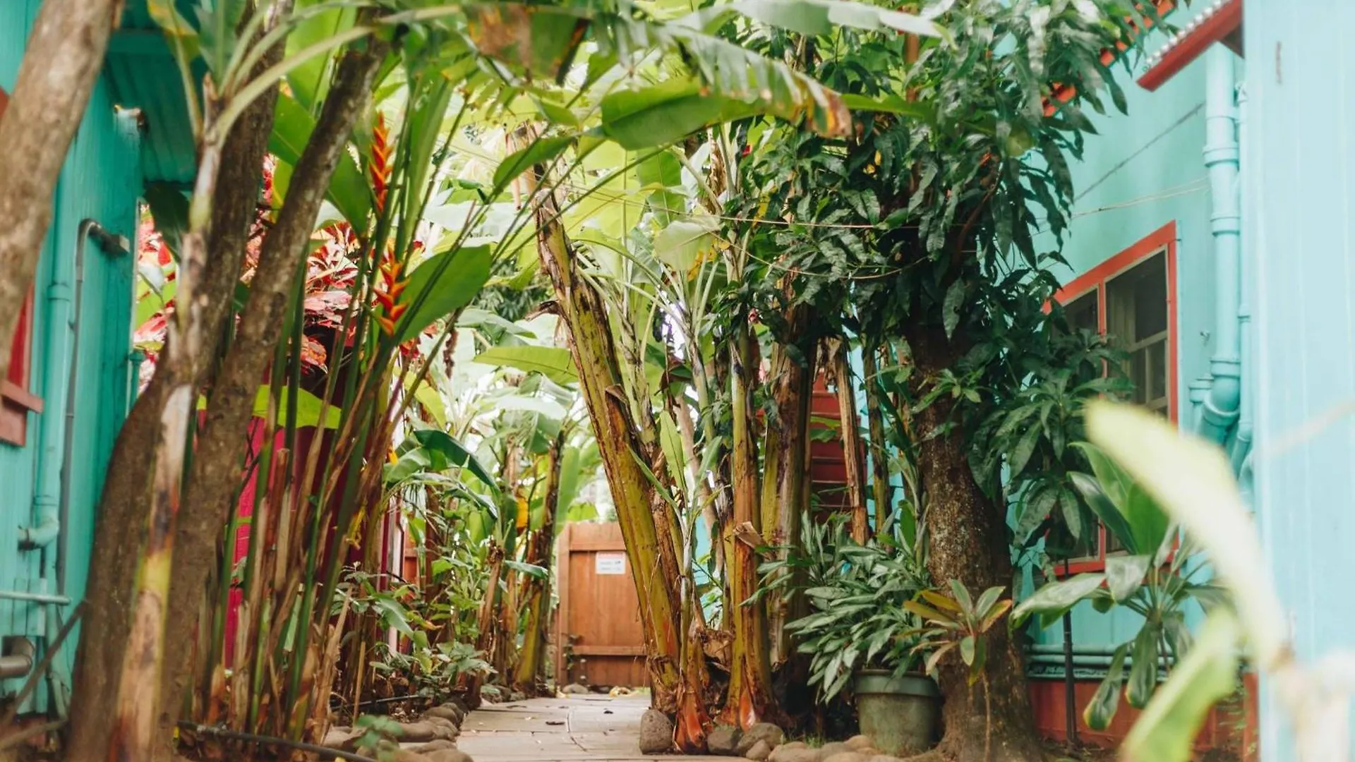 Banana Bungalow Maui Hostel Wailuku