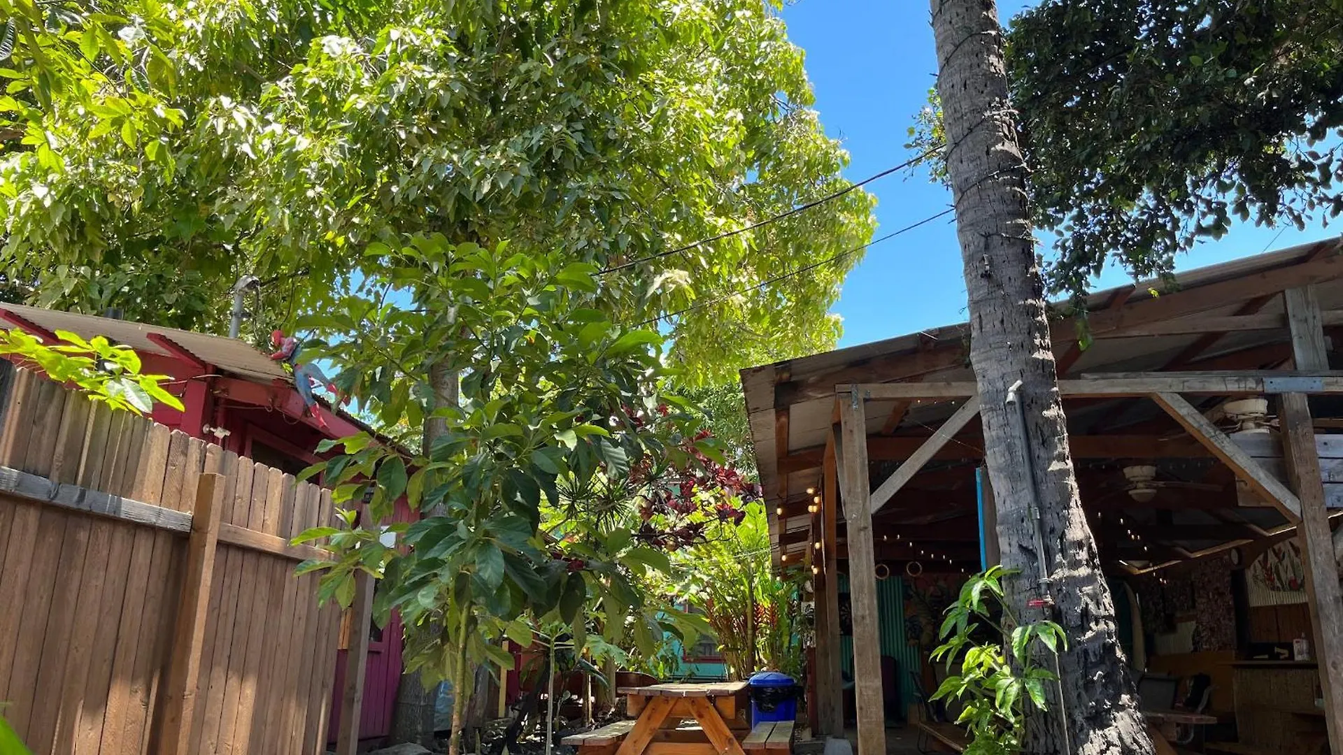 Banana Bungalow Maui Hostel Wailuku